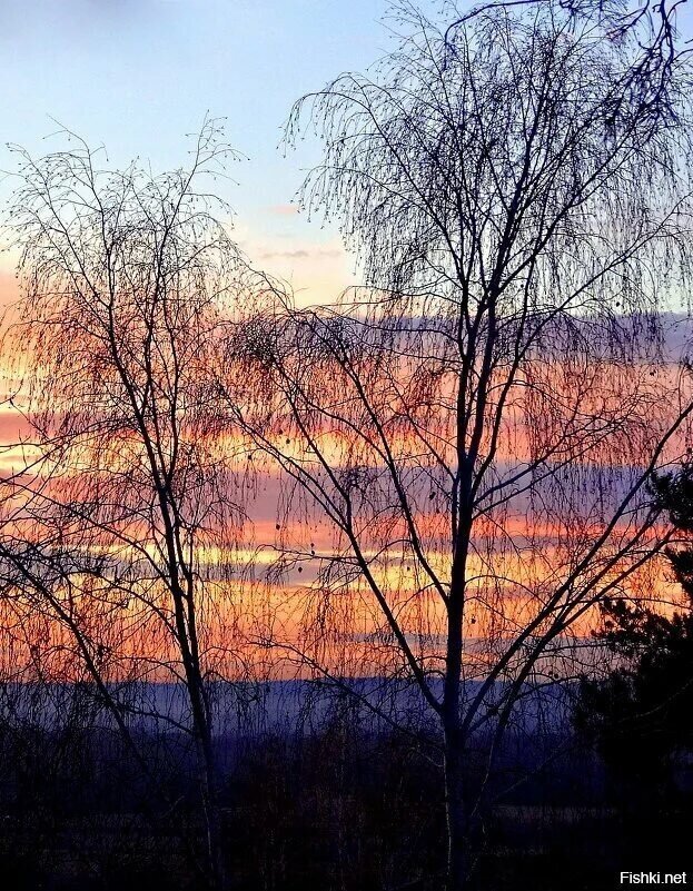 10 ноября, Параскева Льняница (Бабья заступница)