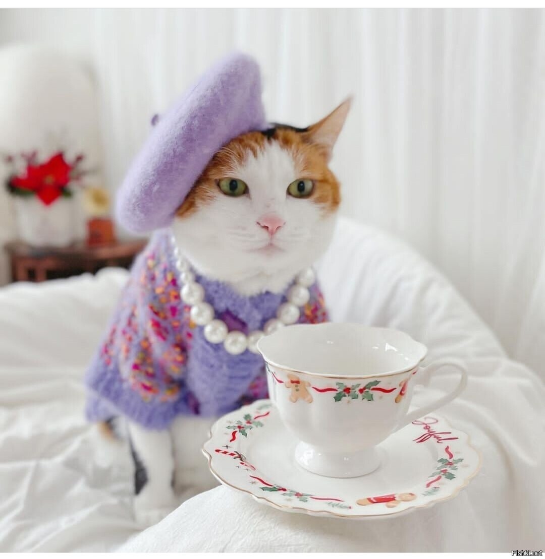 Доброе утро