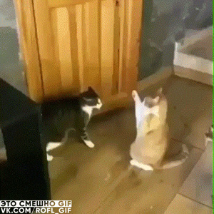 По-джедайски