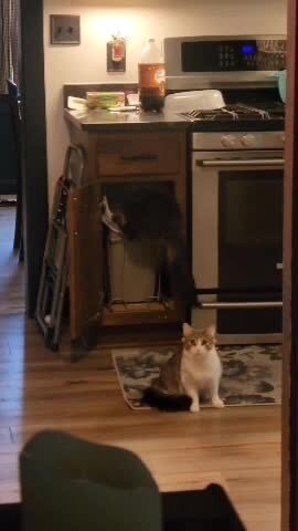 Криминальный дует: один на деле, второй на шухере