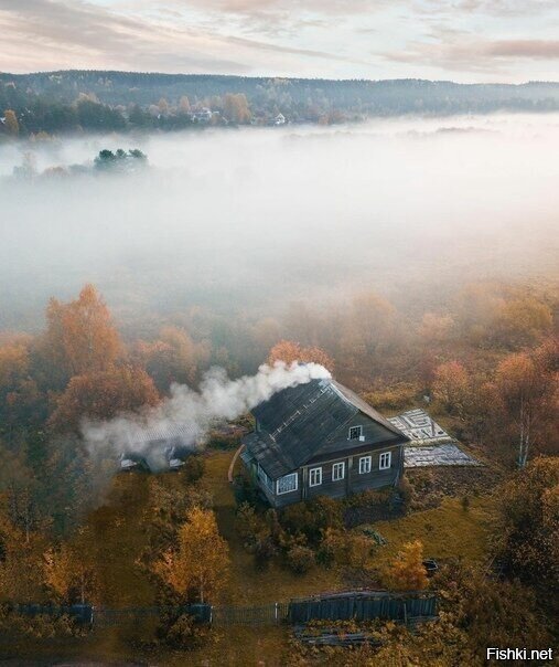 Осень в Вепсском лесу, Ленобласть