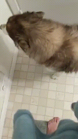 Это не честно