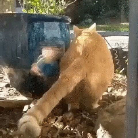 Старт ракеты, рыжей, жопастенькой