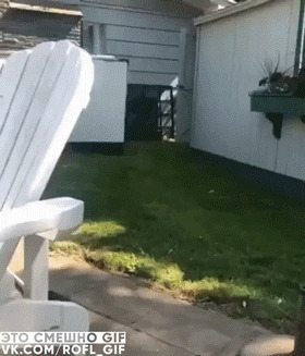 - Давай поиграем, пока теннисисты не набежали