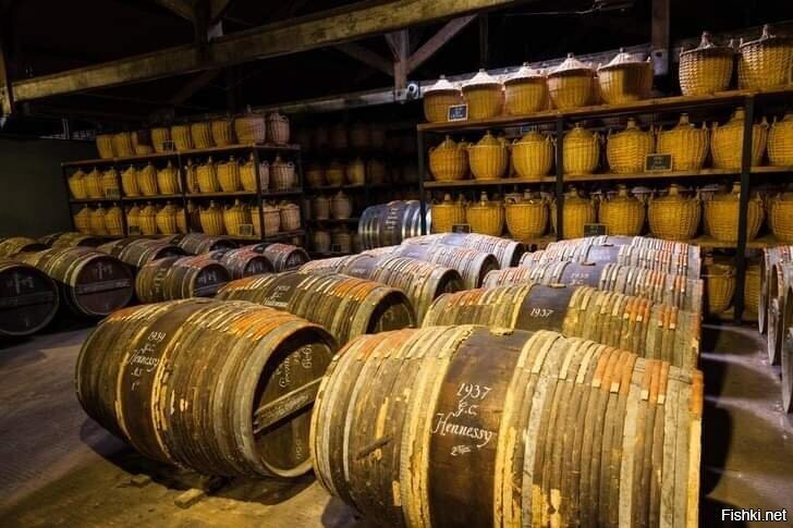 Что такое арманьяк