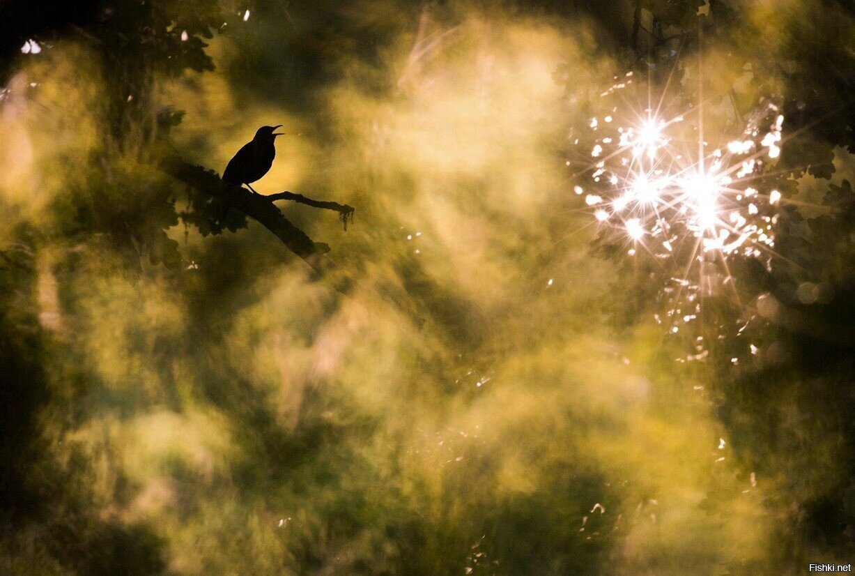 С добрым пятничным утром