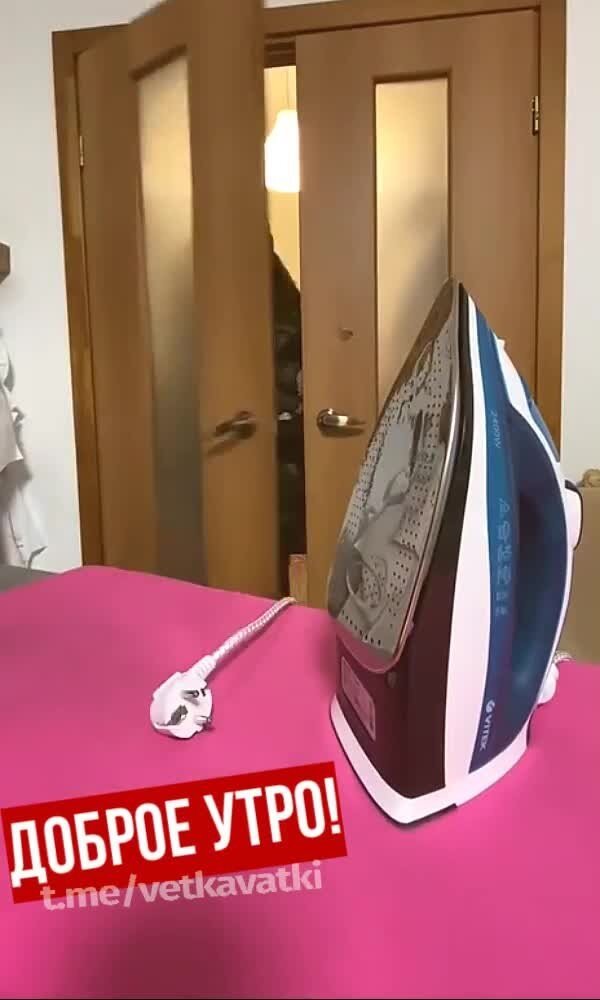 Что такое паранойя