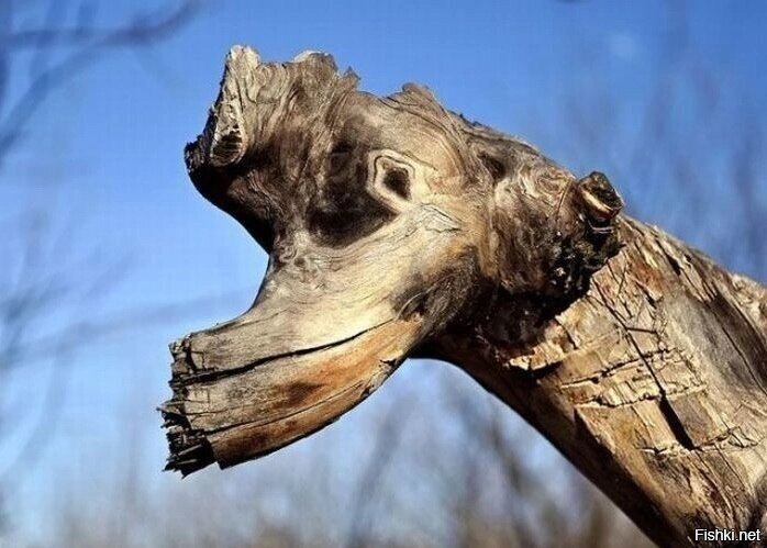 Добрый день =)