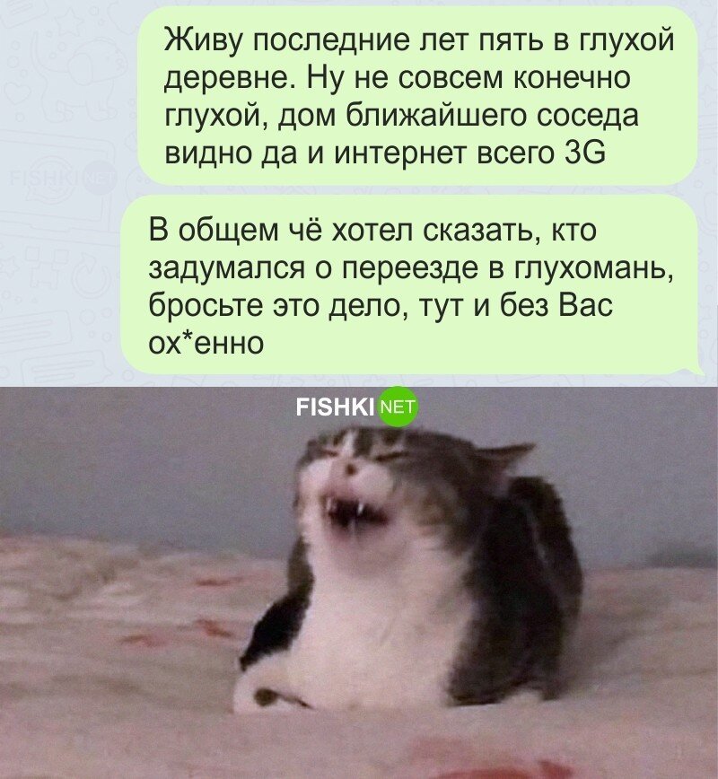 Не мешайте! 