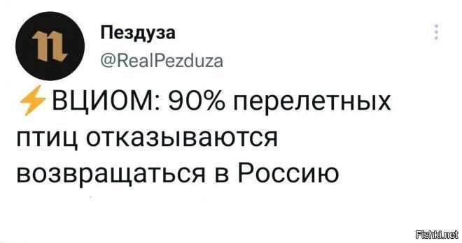 Не политика