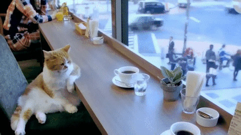 Задумчивость по жизни