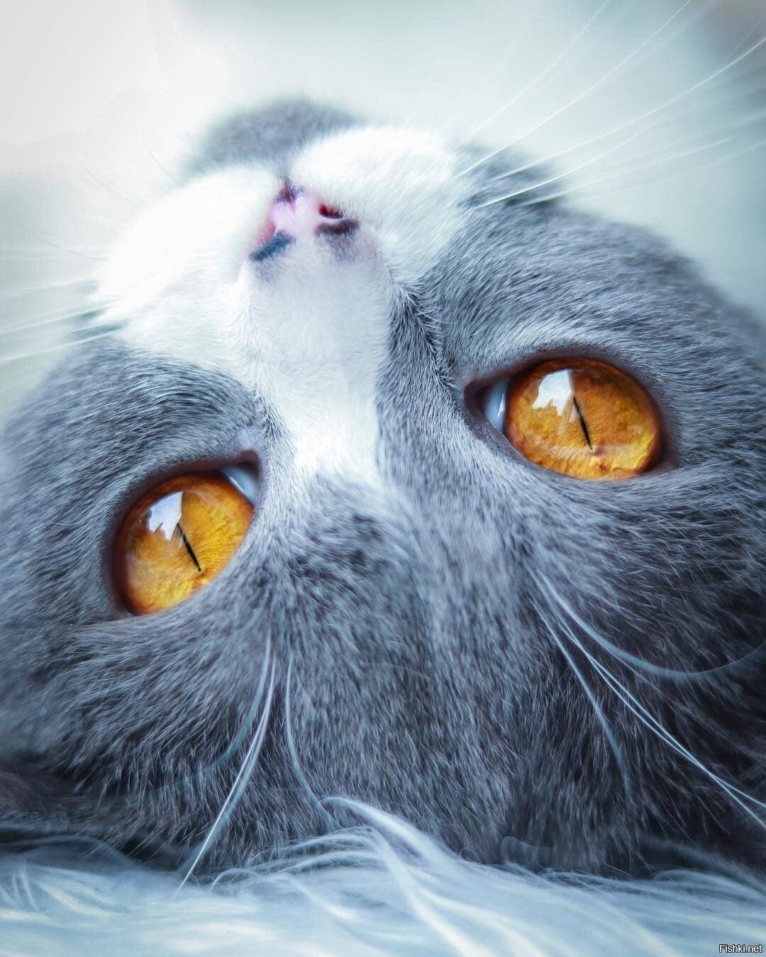 Ещё чуть-чуть и скоро будет