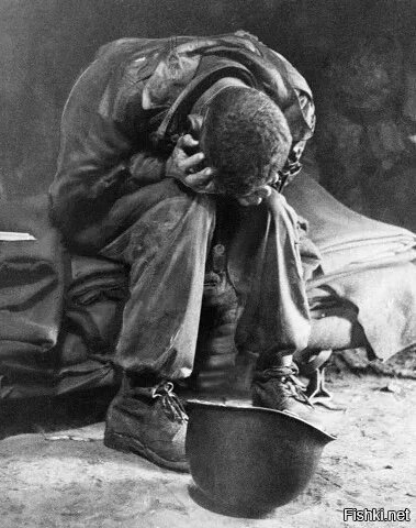 ……………………………