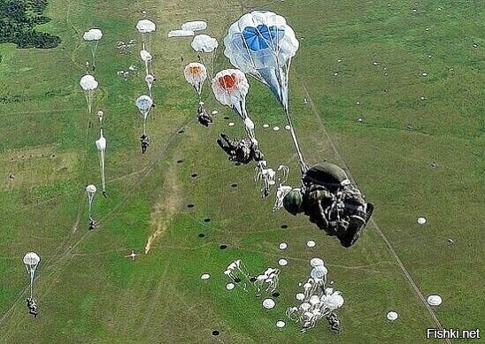 501,502,503 кольцо 