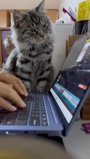 Когда начальник пришёл проверить, как ты работаешь, и делает вид, что хоть чт...