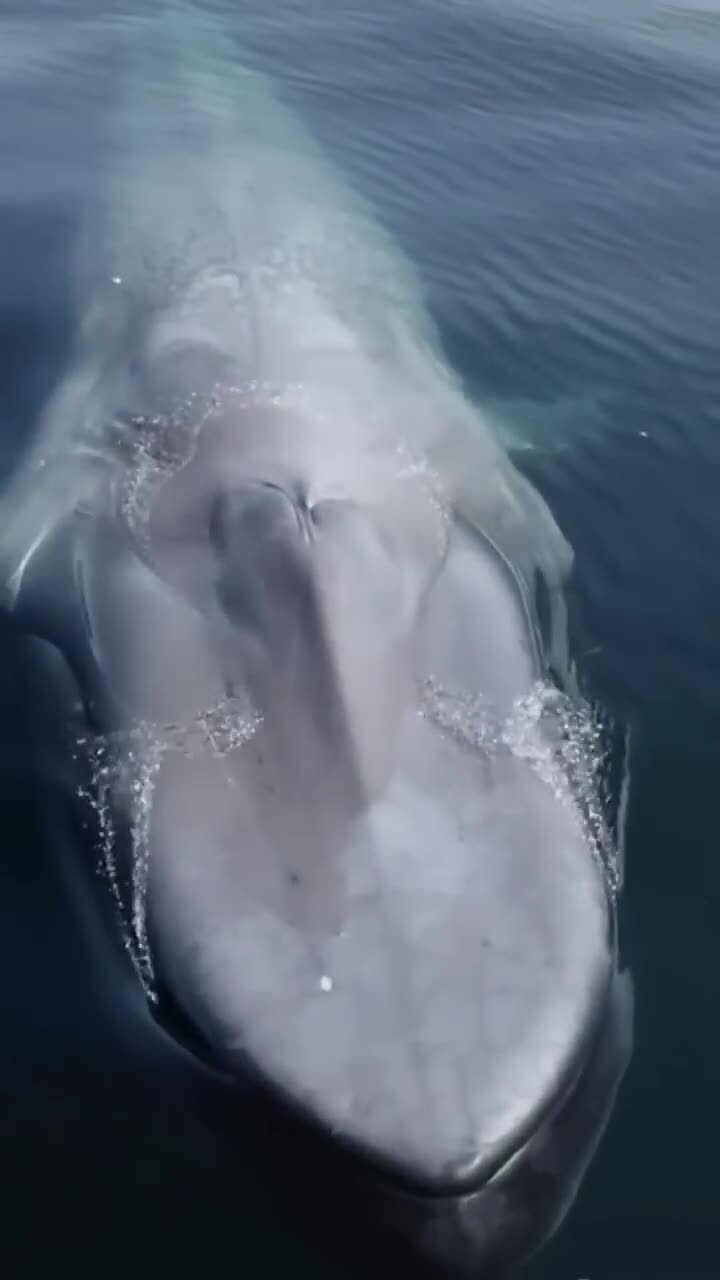 величие выглядит так