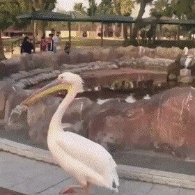 -а ты чё ржёшь