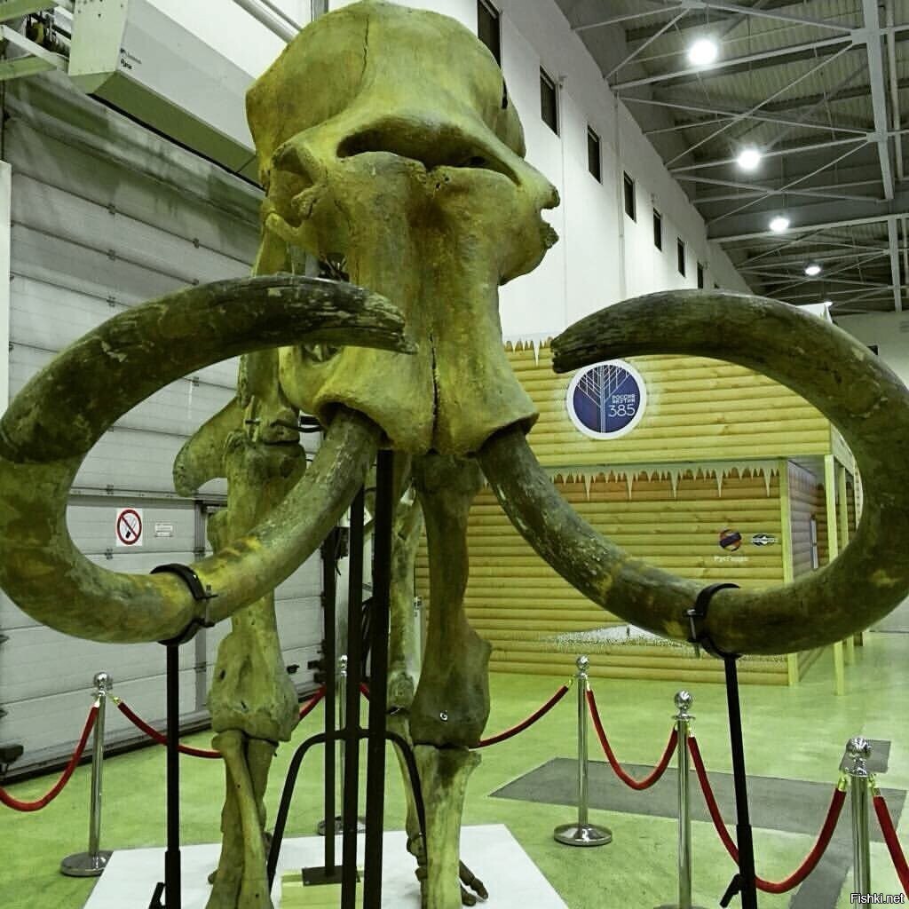 Надеюсь не забанят