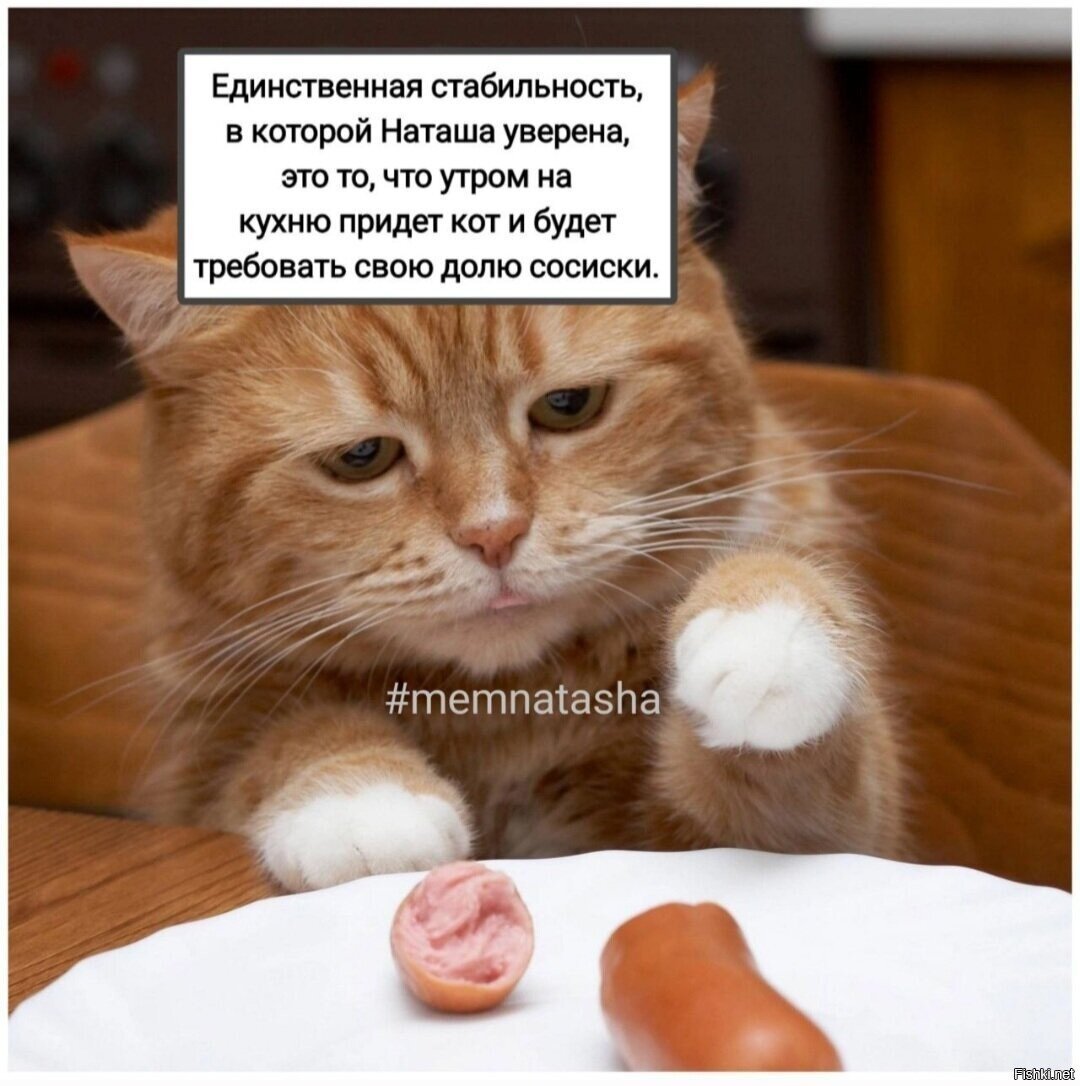 Доброе утро