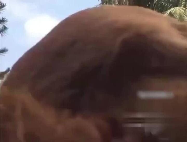 Хотела снять себя во время утренней зарядки, но что-то пошло не так