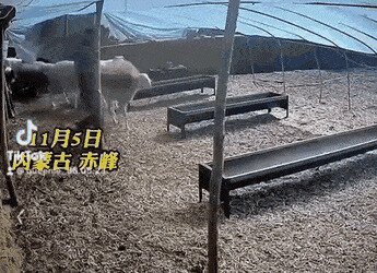 &quot;Он мне сам сказал: «такую личную неприязнь я испытываю к потерпевшему, ...