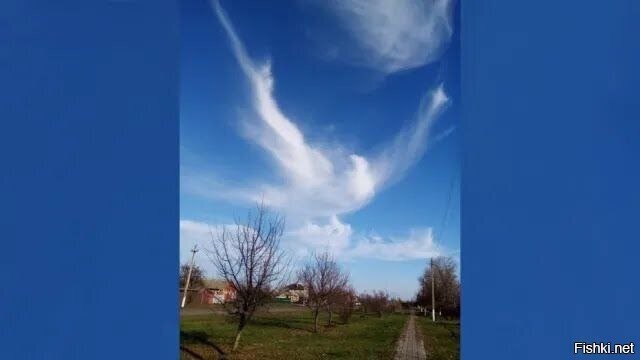 Воронежская область