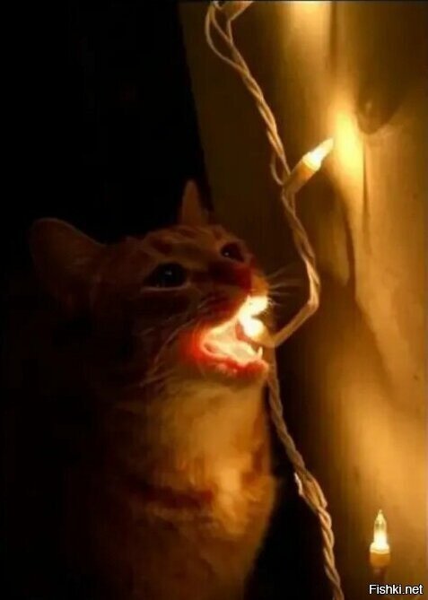 Не проверю-не поверю, или опыт - лучший учитель (берет дорого, но результат г...