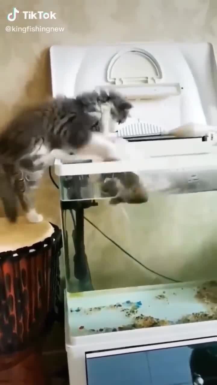 Рыболов и барабанщик