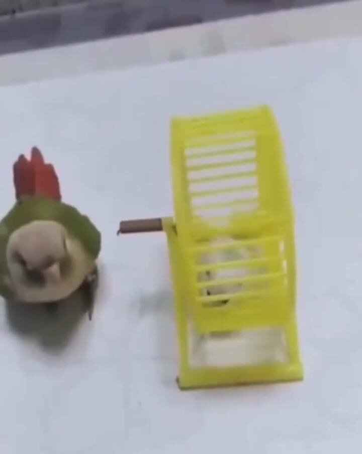 Так готовят космонавтов