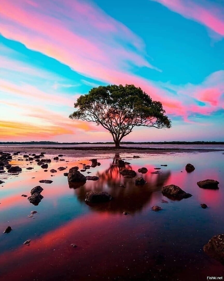 Закат в городе Брисбен, Австралия