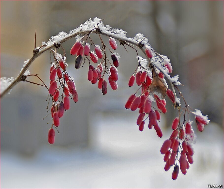 С добрым утром)