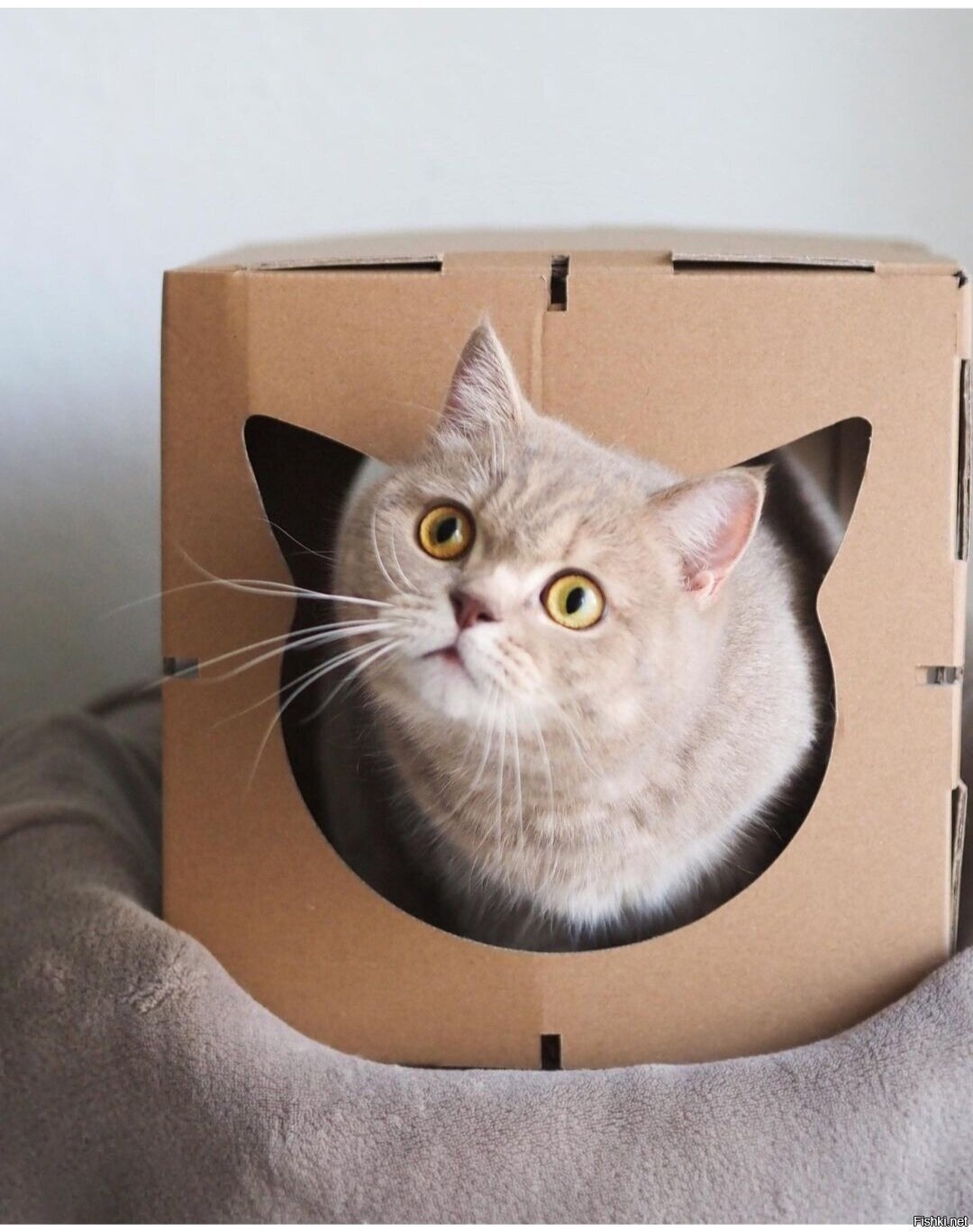 Доброе утро