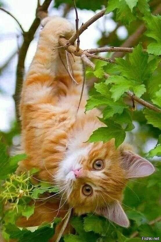 Доброе утро