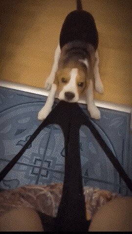 -я тоже хочу