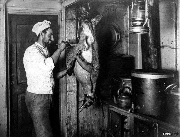 Повар готовит пингвина на обед, антарктическая экспедиция, 1915 год