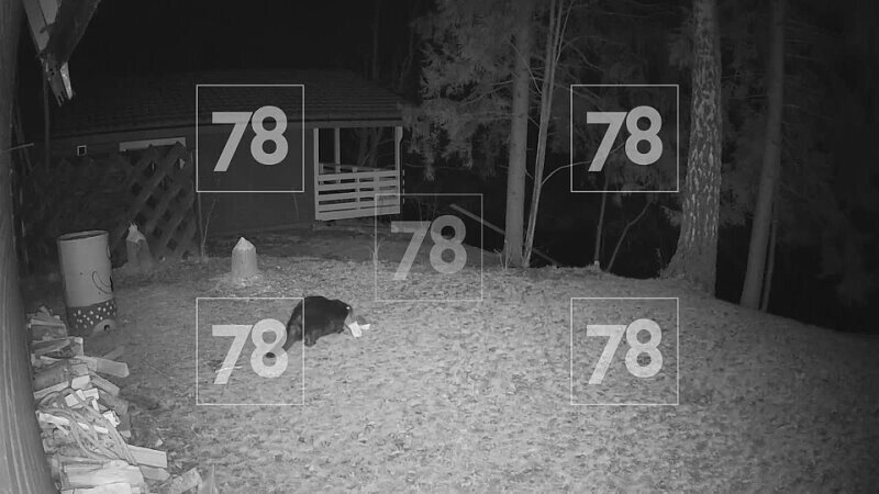 Дерзкое ограбление во Псковской области, совершённое под покровом ночи, попал...