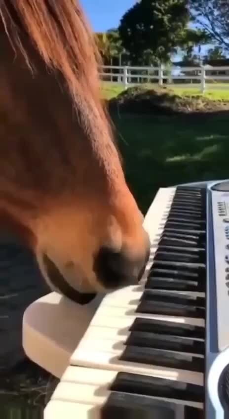 Когда сдала последняя нервная клетка)