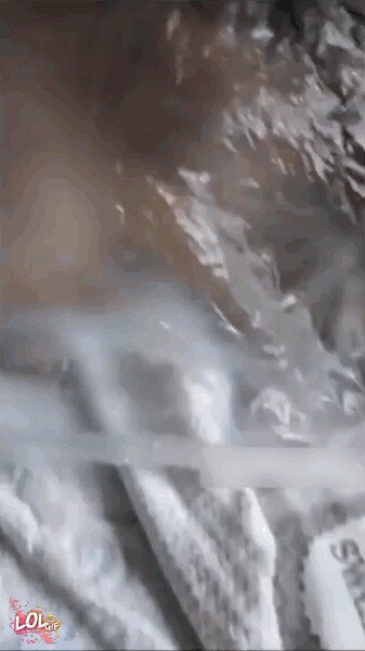 - У меня своя атмосфера, закрой