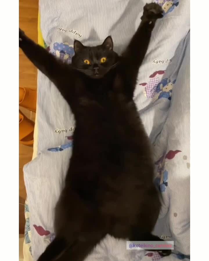 Потягушки))