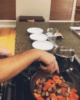 и на собаку - ноль внимания,