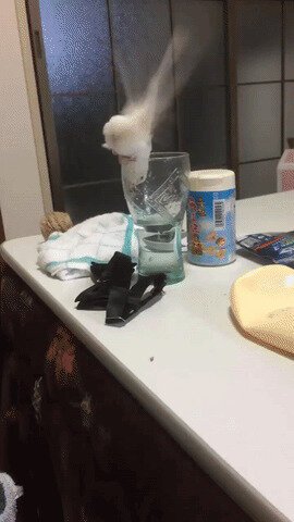 И попку помоем