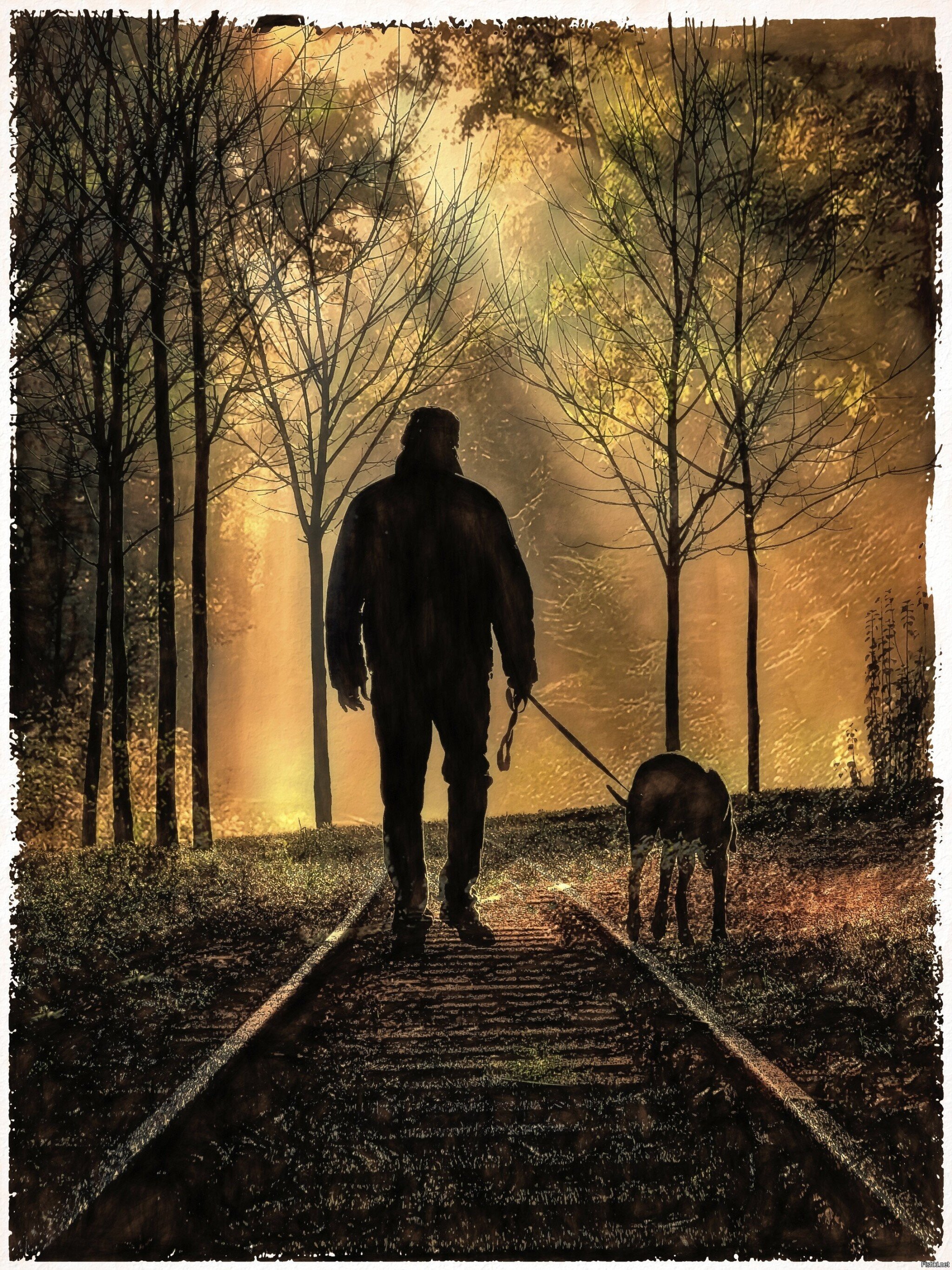 Человек и пёс