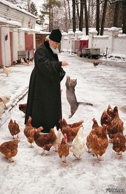 чтобы куриц не ел посвящаю тебя в христианство