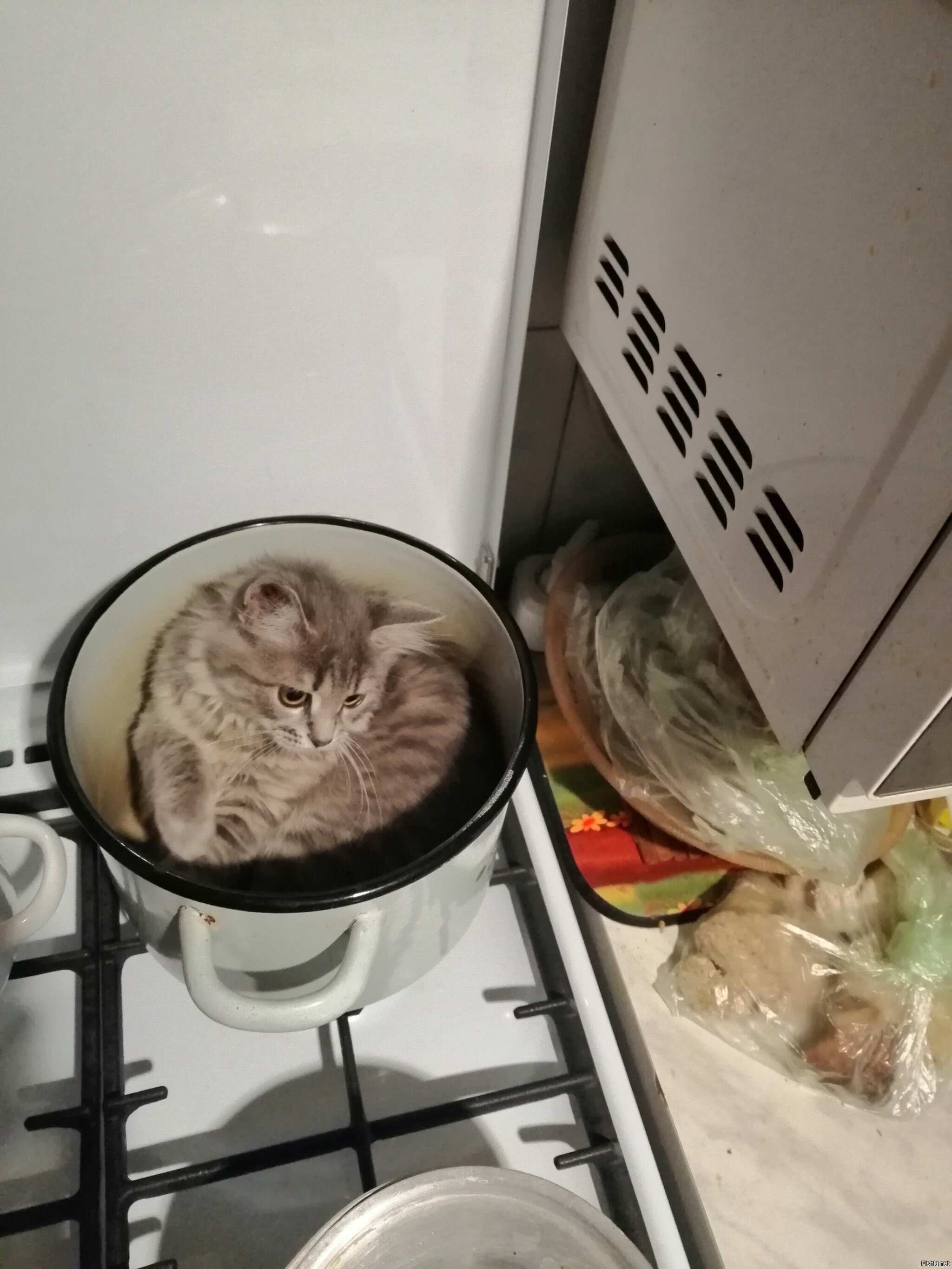 Вопрос - варить или нет