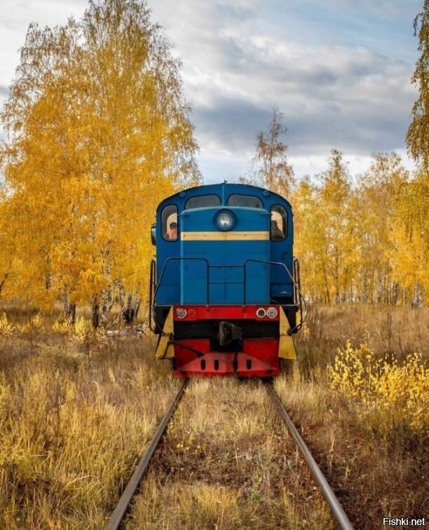 Катится, катится голубой вагон