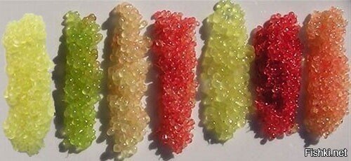 Австралийский пальчиковый лайм (finger lime)