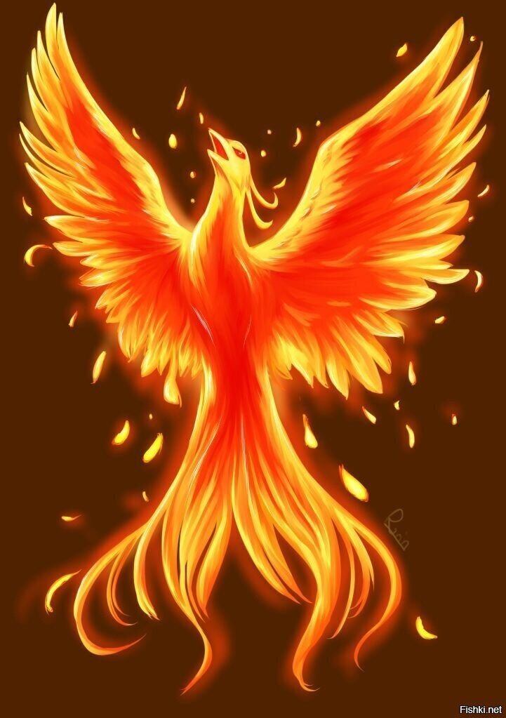 Я — Феникс