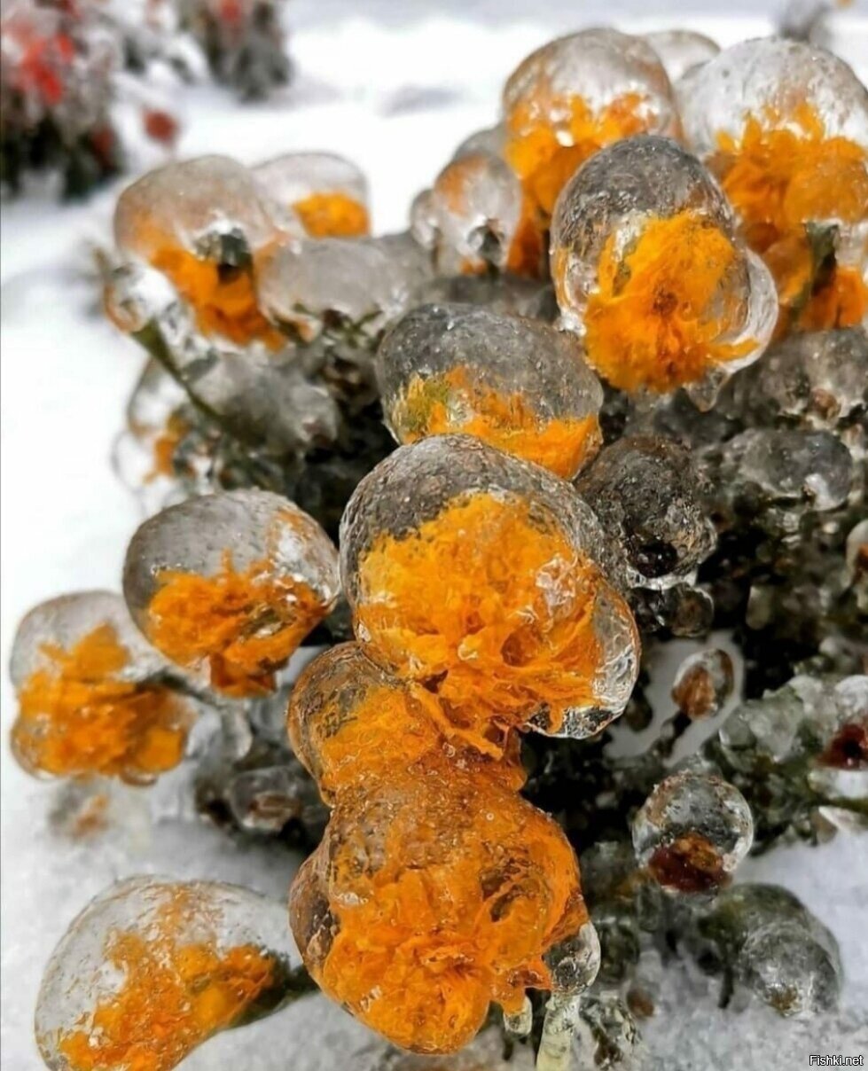 Доброе утро)