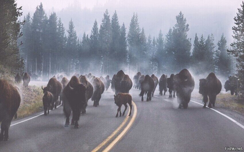 Доброе утро