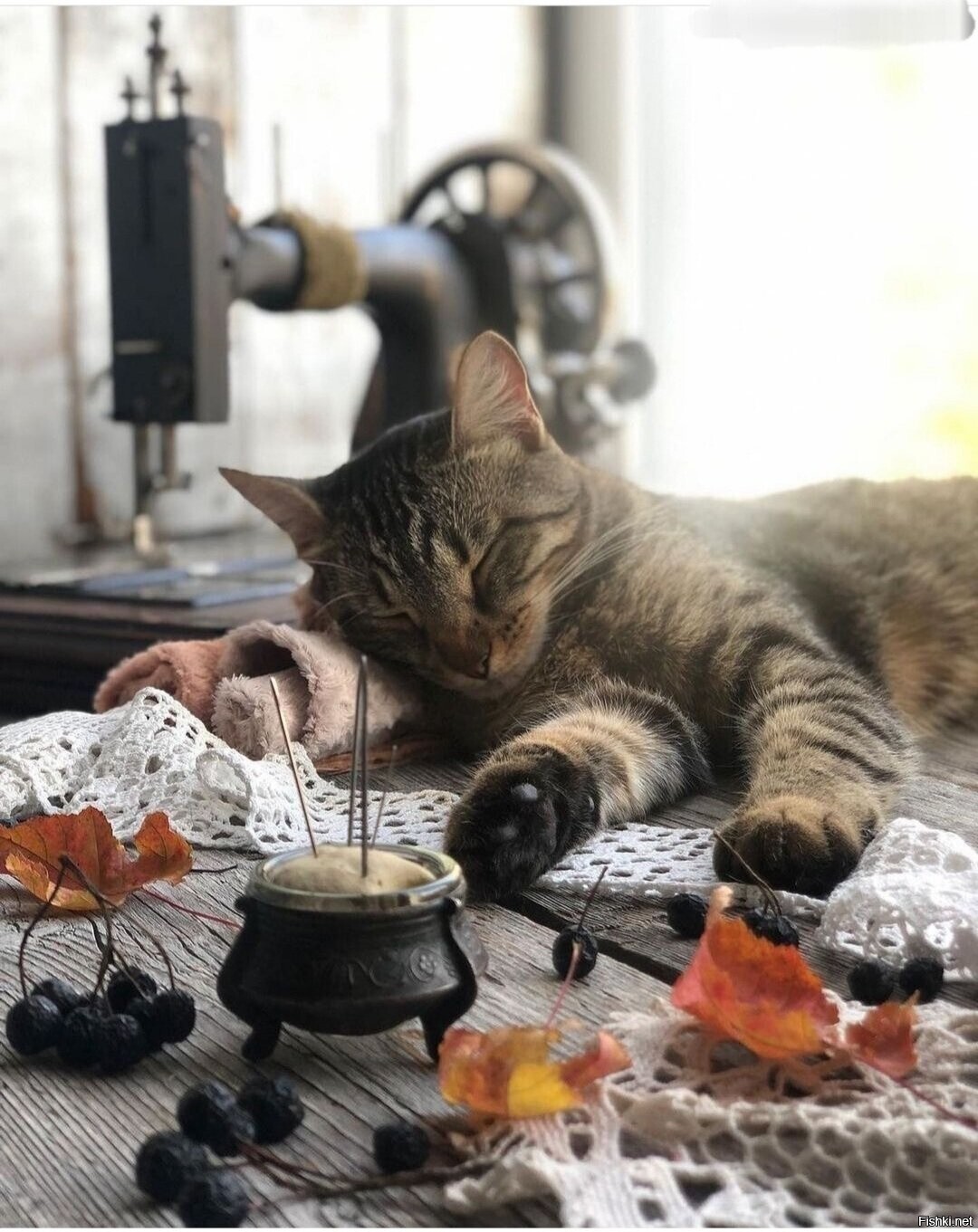 Доброе утро